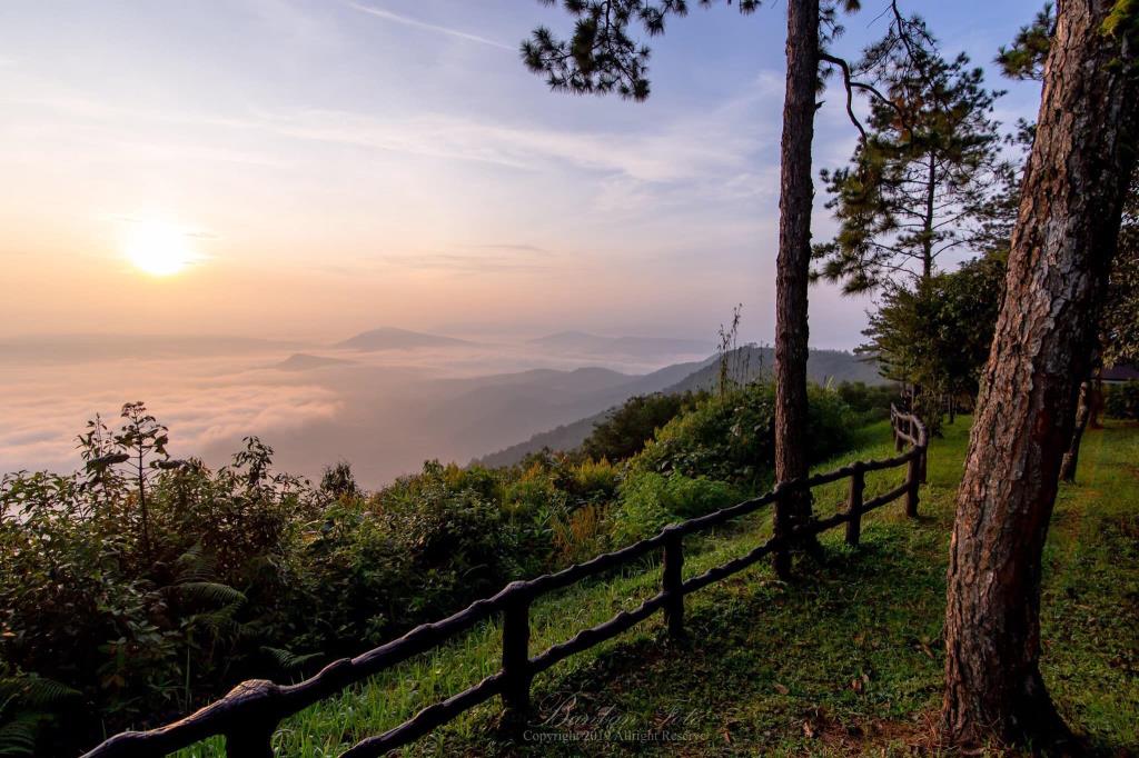 อุทยานแห่งชาติภูเรือ